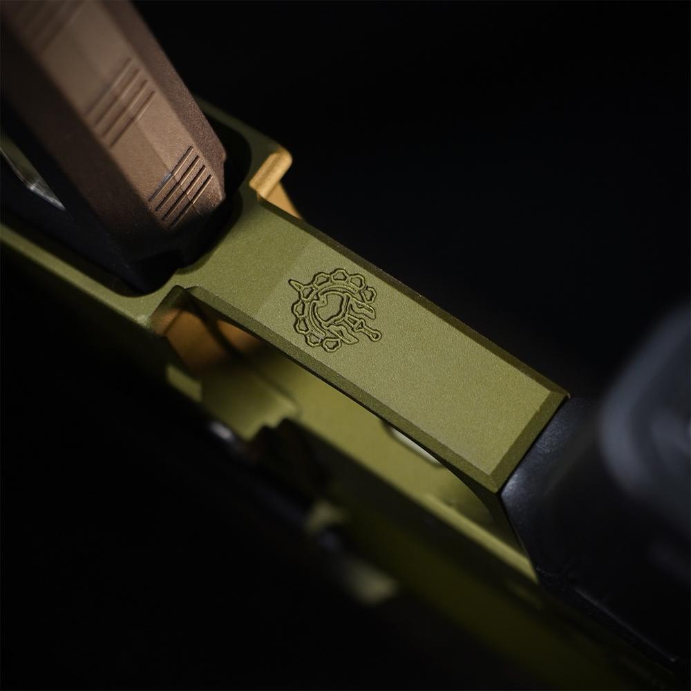 MTW Fossil Collection: Dig 1