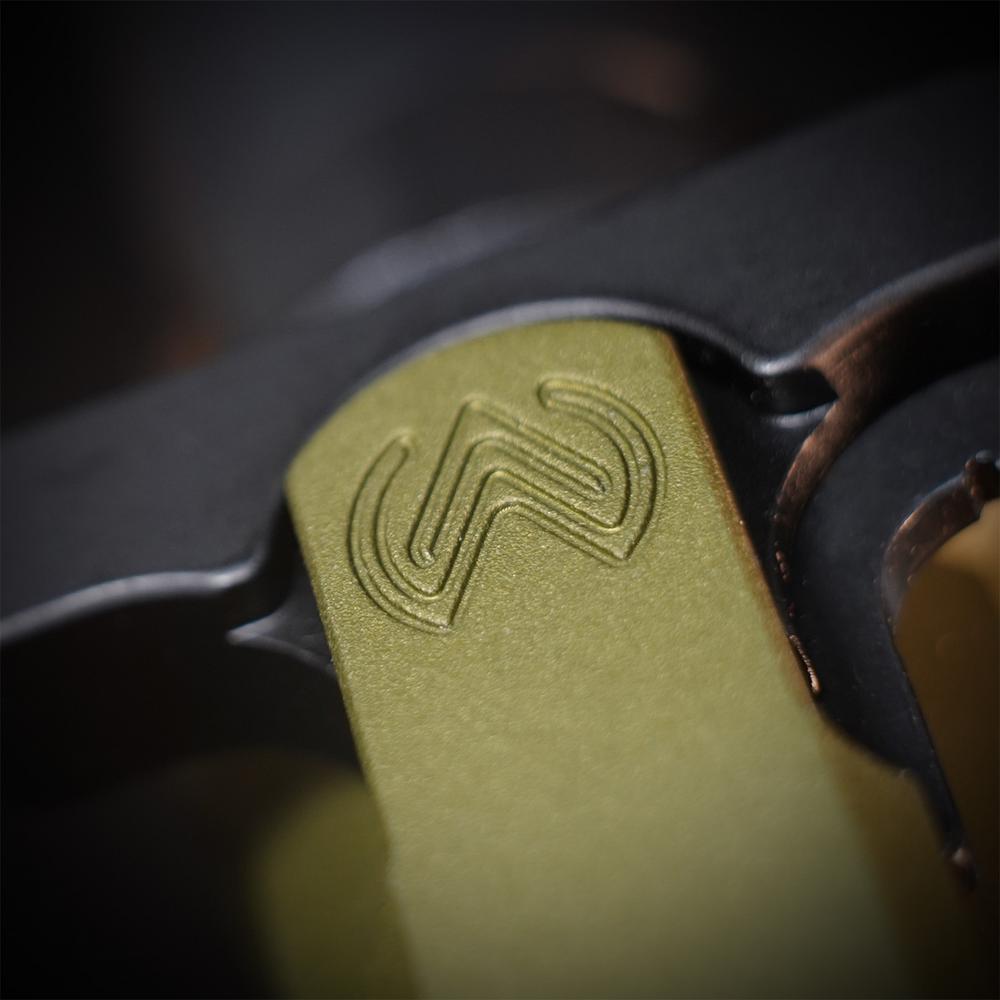 MTW Fossil Collection: Dig 1